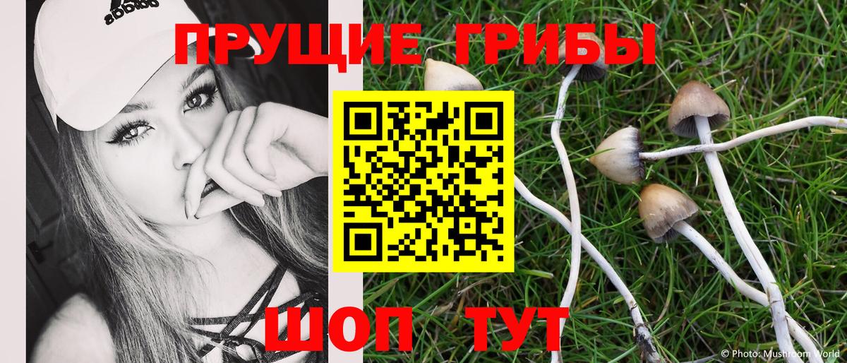 Галлюциногенные грибы Psilocybine cubensis  Вход с VPN  Обь 